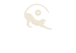 Yin Yoga Africa