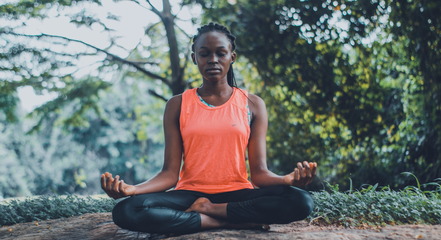 How to Develop Your Yoga Practice: A Guide for Professional Yoga Teachers