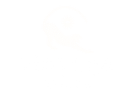 Yin Yoga Africa